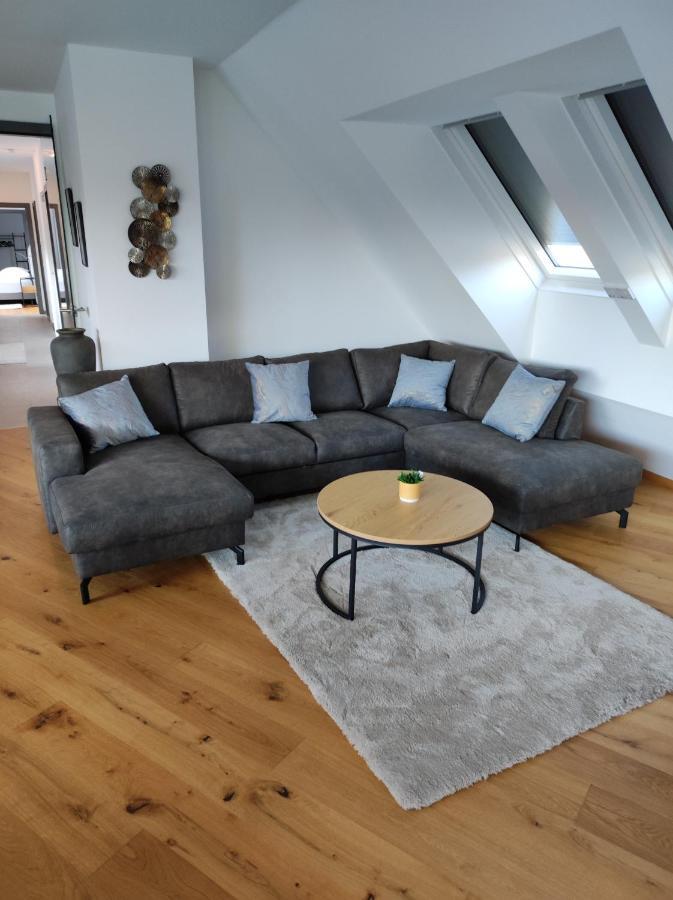 Luxurioeses Penthouse Mit Blick Auf Uno-city Und Dem Kaiserwasser. 3schlafzimmer, 2 Baeder, Privat Lift Ins * Viena